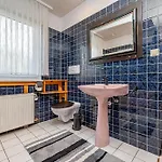 Haus-austernfischer * Нордштранд