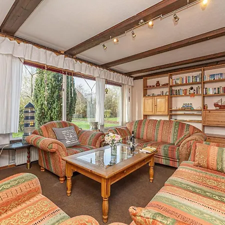 Haus-austernfischer *