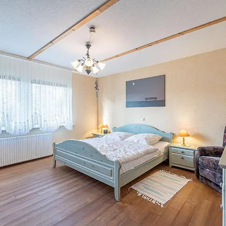 Haus-austernfischer