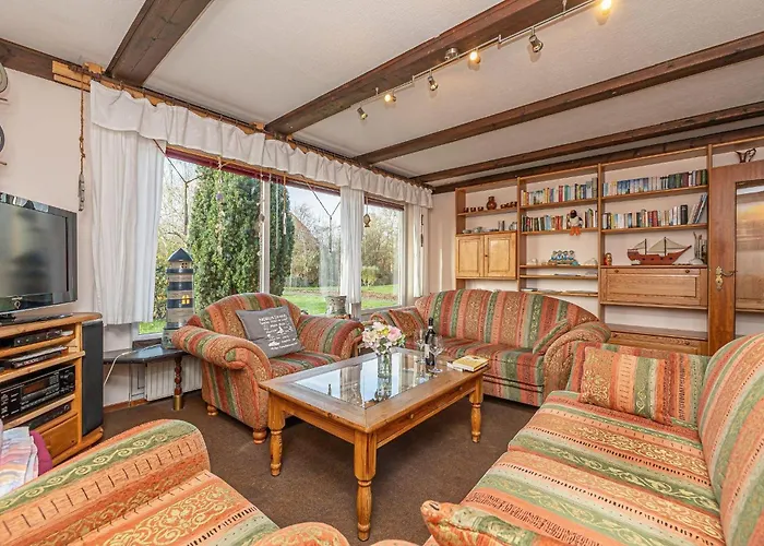 Haus-austernfischer *