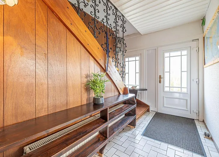 Haus-austernfischer *