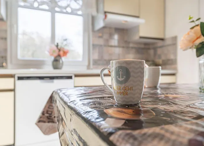 Haus-austernfischer * Nordstrand