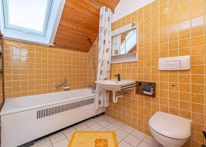 Haus-austernfischer * Nordstrand