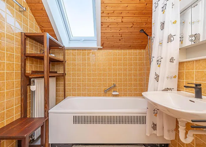 Haus-austernfischer Nordstrand