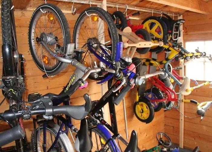 Haus-austernfischer *